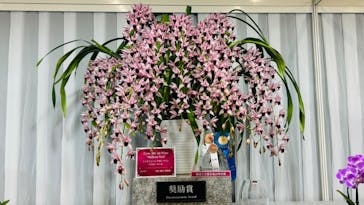 世界らん展2026-花と緑の祭典-に投稿された画像（2024/2/13）