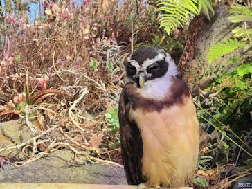 伊豆シャボテン動物公園に投稿された画像（2024/2/13）