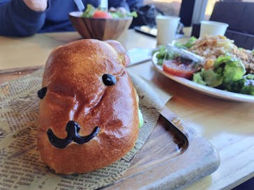 伊豆シャボテン動物公園に投稿された画像（2024/2/13）