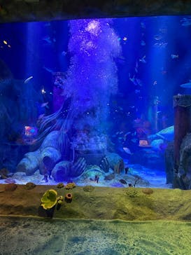 レゴランドⓇ・ジャパン・リゾートに投稿された画像（2024/2/13）