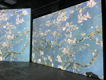 ゴッホ・アライブに投稿された画像（2024/2/13）