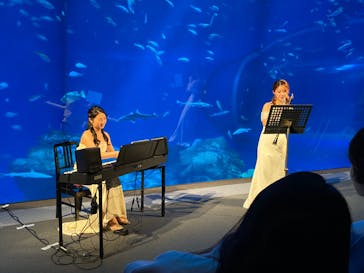 アクアワールド茨城県大洗水族館に投稿された画像（2024/2/13）