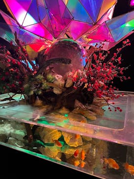 NARA KINGYO MUSEUMに投稿された画像（2024/2/13）