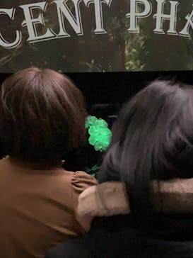 世界らん展2026-花と緑の祭典-に投稿された画像（2024/2/13）