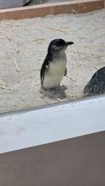 AOAO SAPPOROに投稿された画像（2024/2/13）