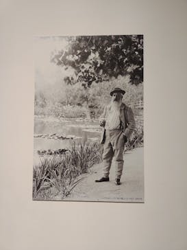 モネ　連作の情景に投稿された画像（2024/2/13）