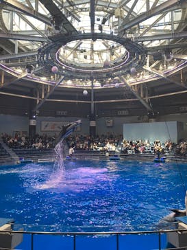 マクセル アクアパーク品川に投稿された画像（2024/2/13）