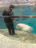 名古屋港水族館に投稿された画像（2024/2/13）