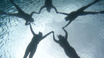 宮古島 ADVENTURE PiPi（ミヤコジマ アドベンチャー ピピ）に投稿された画像（2024/2/13）