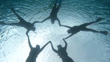 宮古島 ADVENTURE PiPi（ミヤコジマ アドベンチャー ピピ）に投稿された画像（2024/2/13）