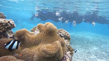 宮古島 ADVENTURE PiPi（ミヤコジマ アドベンチャー ピピ）に投稿された画像（2024/2/13）