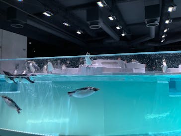 AOAO SAPPOROに投稿された画像（2024/2/13）