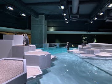 AOAO SAPPOROに投稿された画像（2024/2/13）