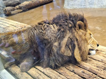 よこはま動物園ズーラシアに投稿された画像（2024/2/13）