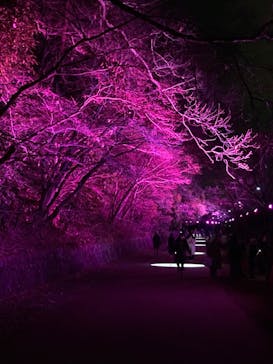 ムーミンバレーパークに投稿された画像（2024/2/13）