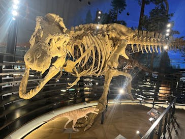 福井県立恐竜博物館に投稿された画像（2024/2/13）