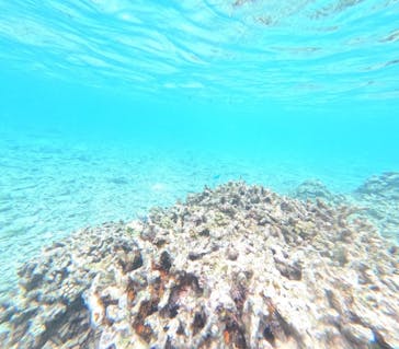 石垣島 ADVENTURE PiPi（イシガキジマアドベンチャーピピ）に投稿された画像（2024/2/13）