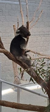 淡路ファームパーク イングランドの丘に投稿された画像（2024/2/13）