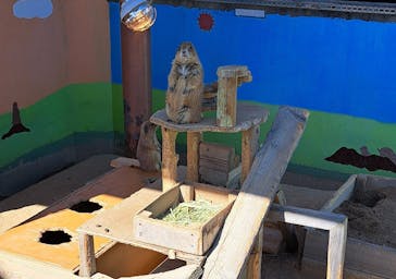 淡路ファームパーク イングランドの丘に投稿された画像（2024/2/13）