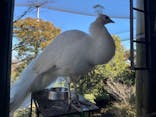 伊豆シャボテン動物公園に投稿された画像（2024/2/13）