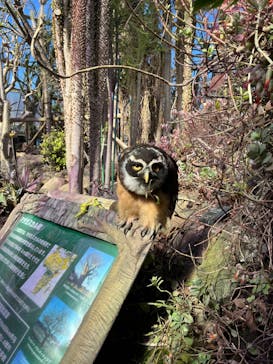 伊豆シャボテン動物公園に投稿された画像（2024/2/13）