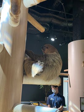 DMMかりゆし水族館に投稿された画像（2024/2/13）