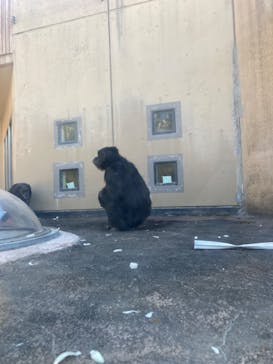 日立市かみね動物園に投稿された画像（2024/2/13）