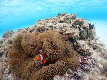 nico 宮古島に投稿された画像（2024/2/13）