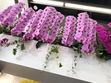 世界らん展2026-花と緑の祭典-に投稿された画像（2024/2/13）