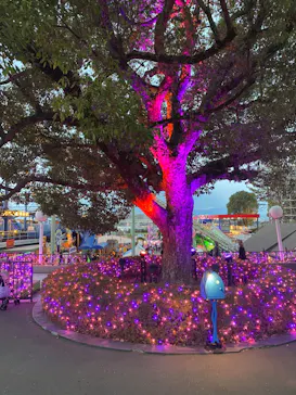 ひらかたパークに投稿された画像（2024/2/14）