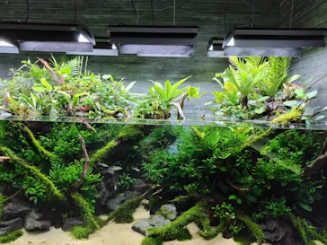 すみだ水族館に投稿された画像（2024/2/14）