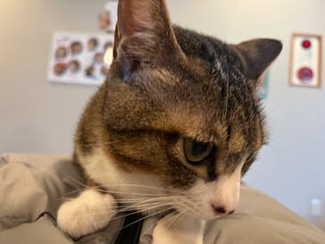 おさるランド＆アニタウン　日光さる軍団劇場に投稿された画像（2024/2/14）