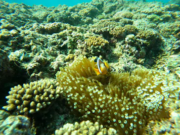 武藤潜水に投稿された画像（2024/2/14）