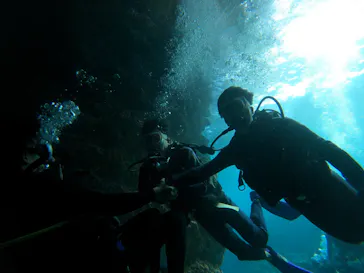 武藤潜水に投稿された画像（2024/2/14）