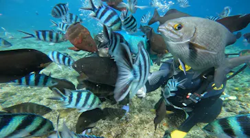 武藤潜水に投稿された画像（2024/2/14）