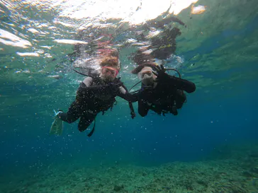 武藤潜水に投稿された画像（2024/2/14）