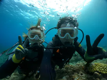武藤潜水に投稿された画像（2024/2/14）