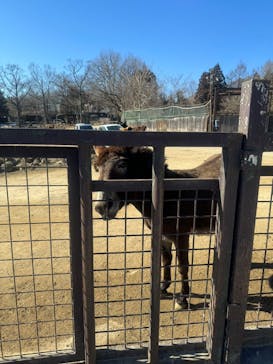 那須サファリパークに投稿された画像（2024/2/14）