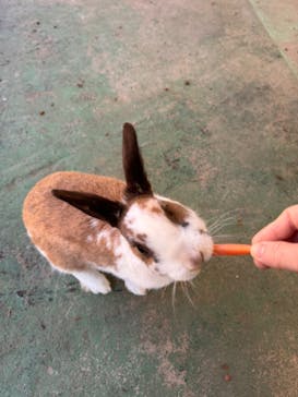 那須サファリパークに投稿された画像（2024/2/14）