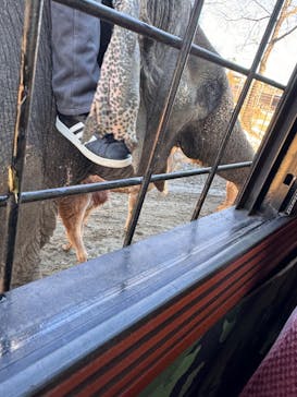 那須サファリパークに投稿された画像（2024/2/14）