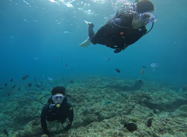 武藤潜水に投稿された画像（2024/2/14）