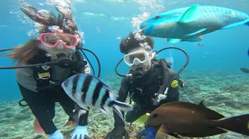 武藤潜水に投稿された画像（2024/2/14）