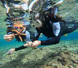 沖縄マリンサービス碧に投稿された画像（2024/2/14）