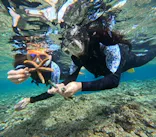 沖縄マリンサービス碧に投稿された画像（2024/2/14）