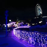 ひらかたパークに投稿された画像（2024/2/14）