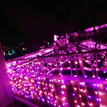 ひらかたパークに投稿された画像（2024/2/14）