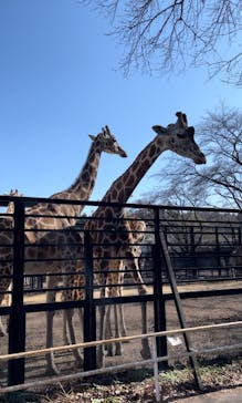 宇都宮動物園に投稿された画像（2024/2/14）