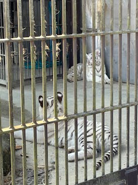 宇都宮動物園に投稿された画像（2024/2/14）