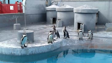 南知多ビーチランド＆南知多おもちゃ王国に投稿された画像（2024/2/12）