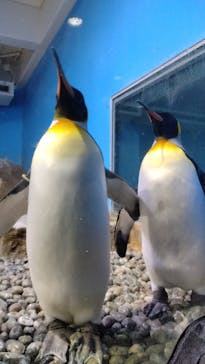 南知多ビーチランド＆南知多おもちゃ王国に投稿された画像（2024/2/12）